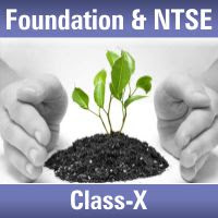 Class-X-Foundation-NTSE